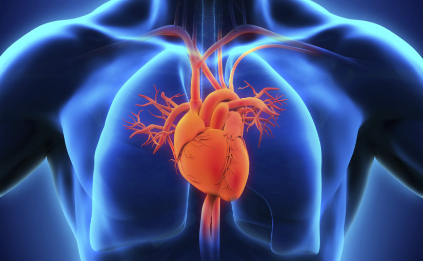 cardiac