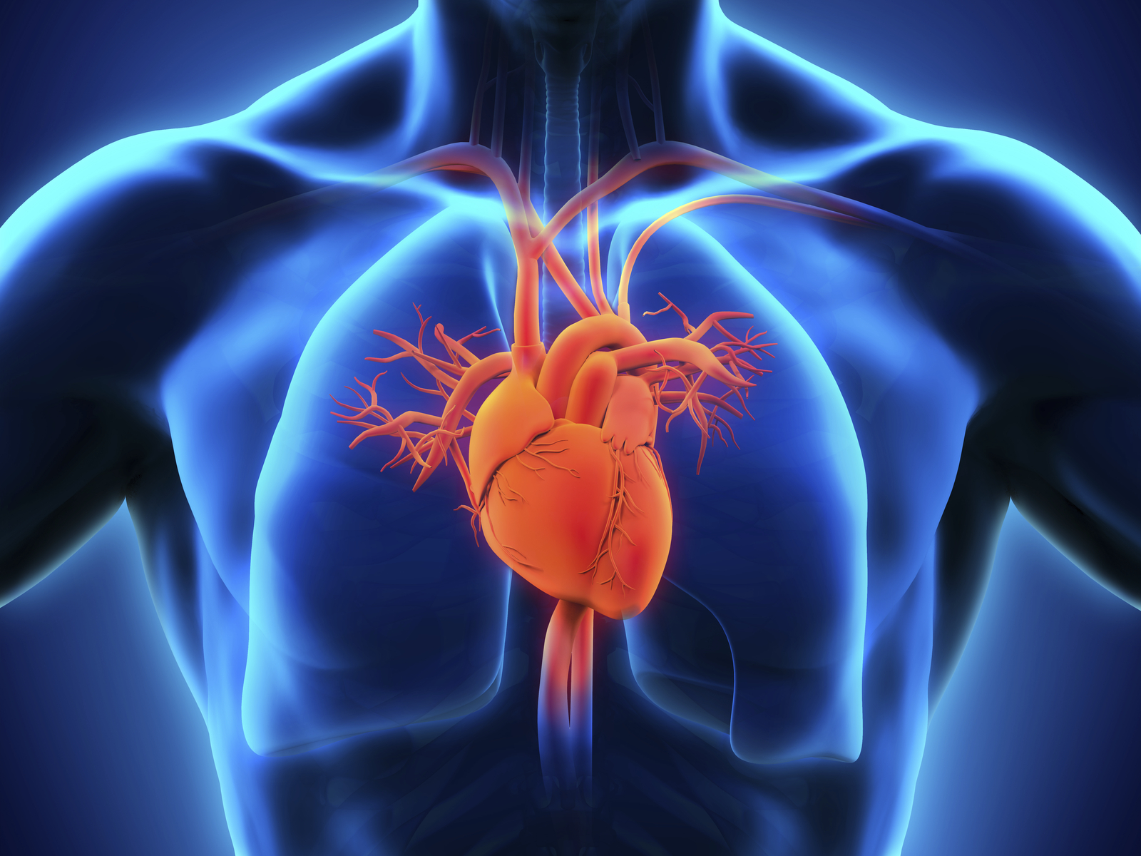 smart heart