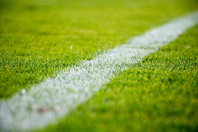 synthetic turf