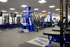 hofstra