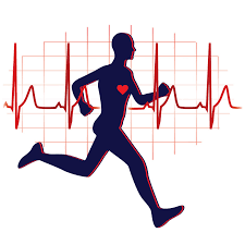 cardiovascular